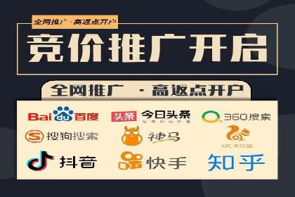 行业领先企业的SEM服务托管策略案例